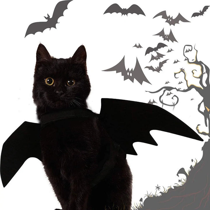 Halloween Pet Clothes Black Bat