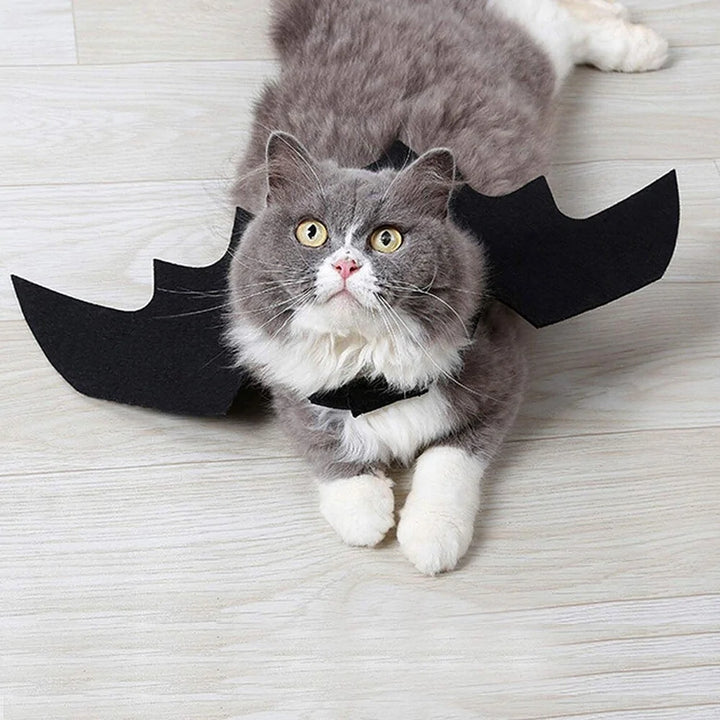 Halloween Pet Clothes Black Bat