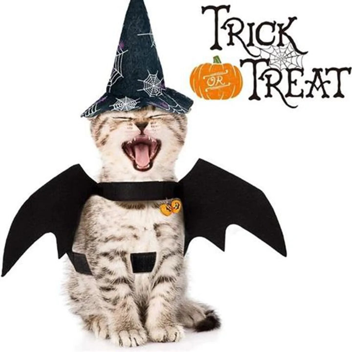 Halloween Pet Clothes Black Bat