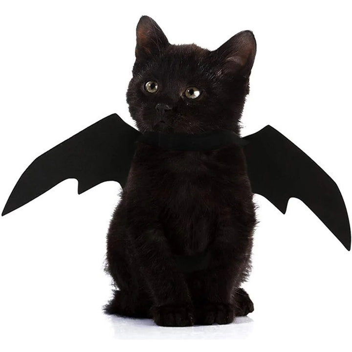 Halloween Pet Clothes Black Bat