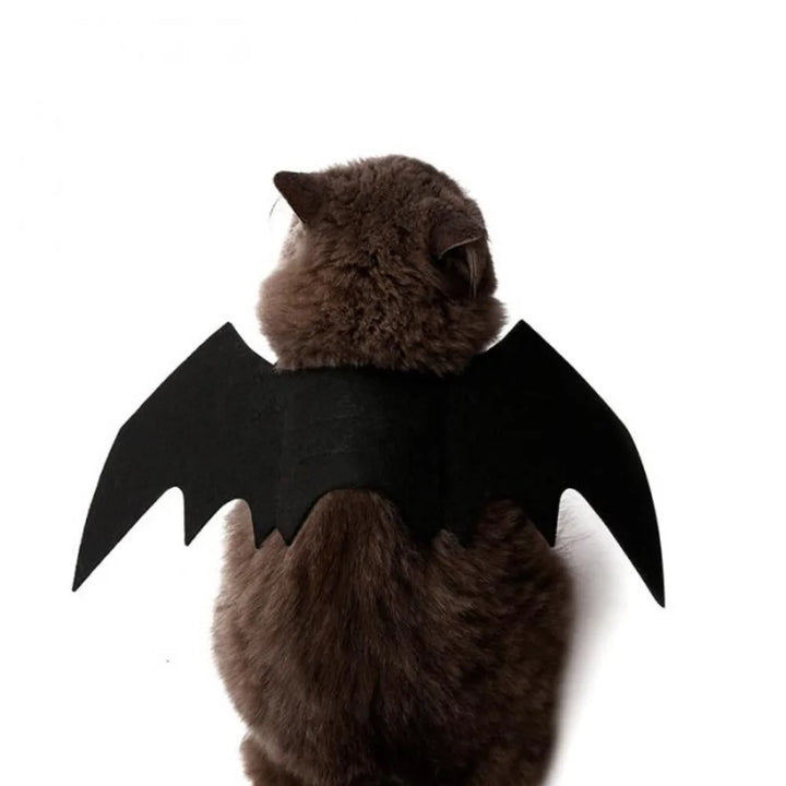 Halloween Pet Clothes Black Bat